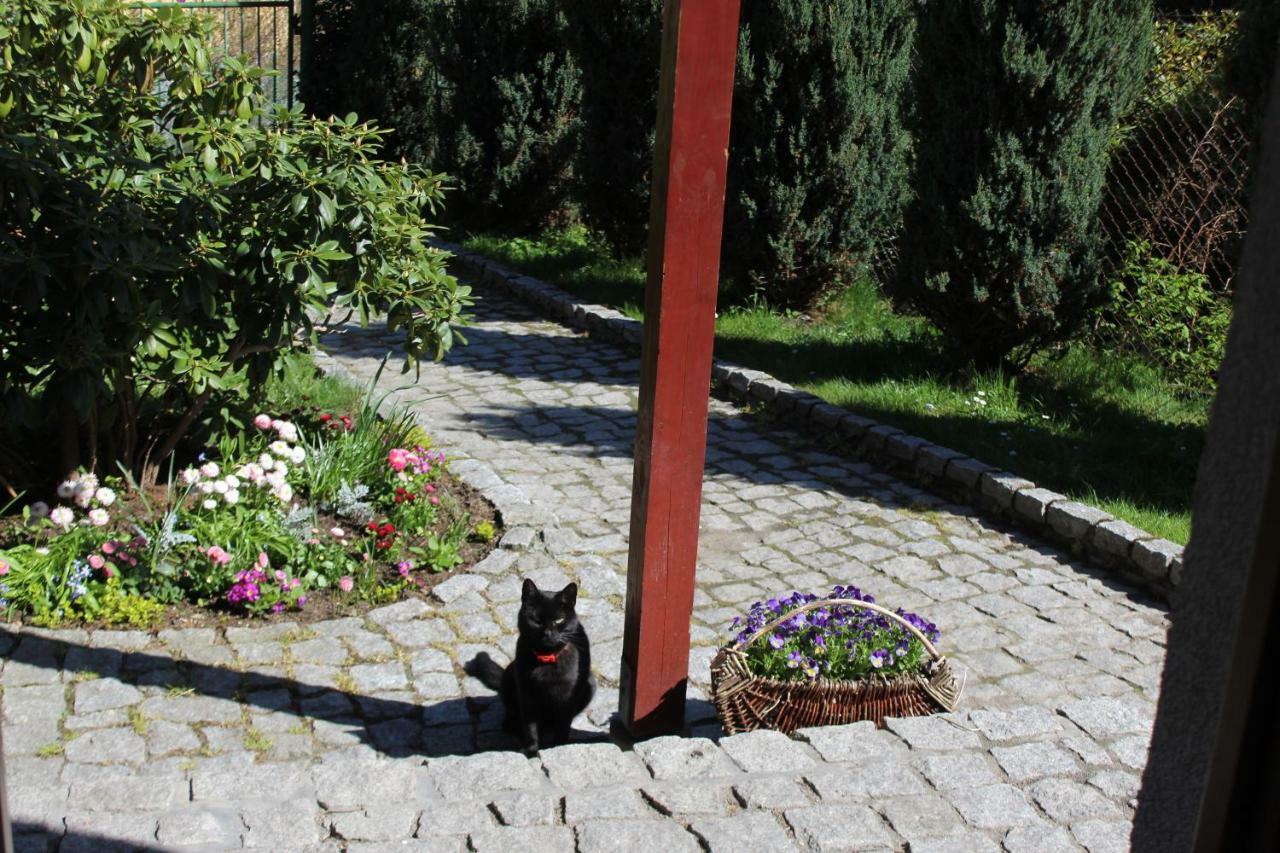 Pokoj Kameralny- De Luxe Z Oddzielnym Wejsciem Karpacz Exterior foto